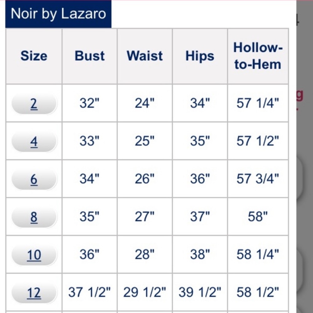 Noir by Lazaro 3382 Taupe size 12 NWT - Picture 6 of 6
